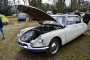 fullsizeoutput-1367.jpg