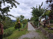 IMG-20250521-113116.jpg