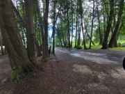 [Image: 20250825-131010.jpg]