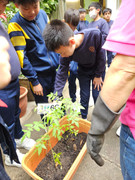 13583a46-23e1-4dd5-ac7a-882a57b761a7