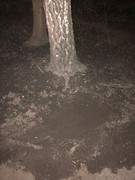 photo_2023-03-23_18-28-43