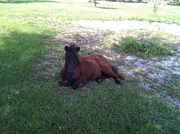 1002011-313414905464707-2103664793-n