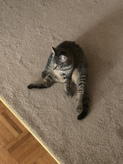 65073411-7D7D-4348-A9D0-0C7AD954D100