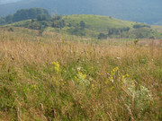 ADP System - Zelezniza 2009 (31)