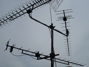 [Image: 1351607.jpg]