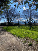 photo 2026 02 15 16 19 57