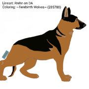 c731fe4b-acce-497a-b062-4840321c2173