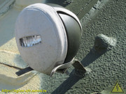 IMG-3461