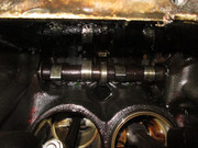 IMG-3868.jpg