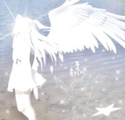 8ec955fb4ff5d73752a2085c0b88e041