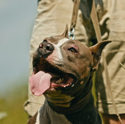 Screenshot_20230624_175020_Gallery