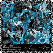 AM_ArianaPreview2014