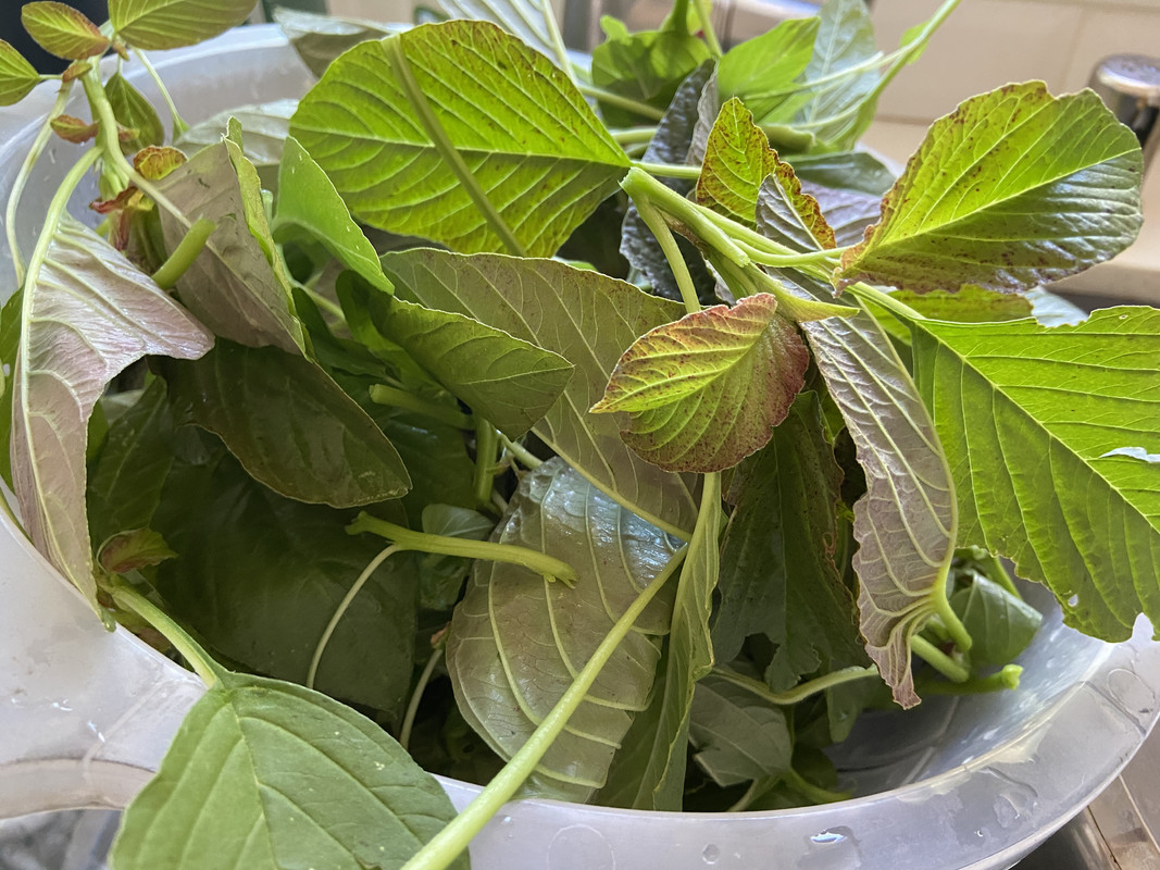 7751A688-1310-427F-9AFA-C93C8256ACAE