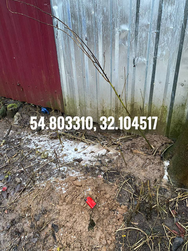 photo 7 2025 12 16 16 25 34