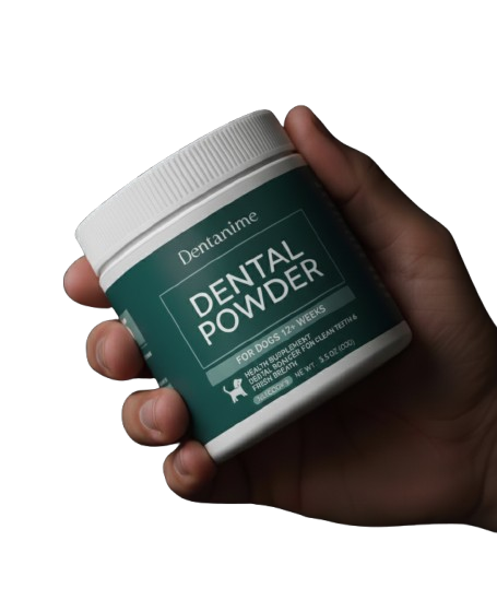 Dentanime Dental Care Powder