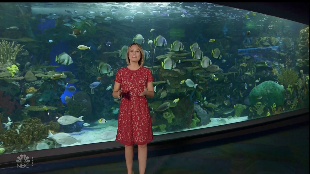 11.07 - 15.00.00 - Earth Odyssey With Dylan Dreyer. The world's smart....ts_snapshot_01.05.21.548