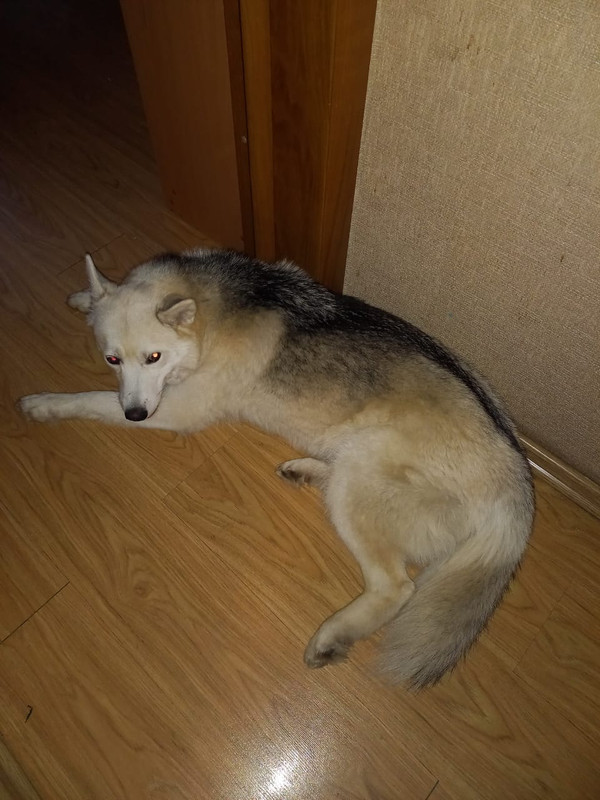 2973CBE6-831A-4A3D-86BF-A9B2E373020C