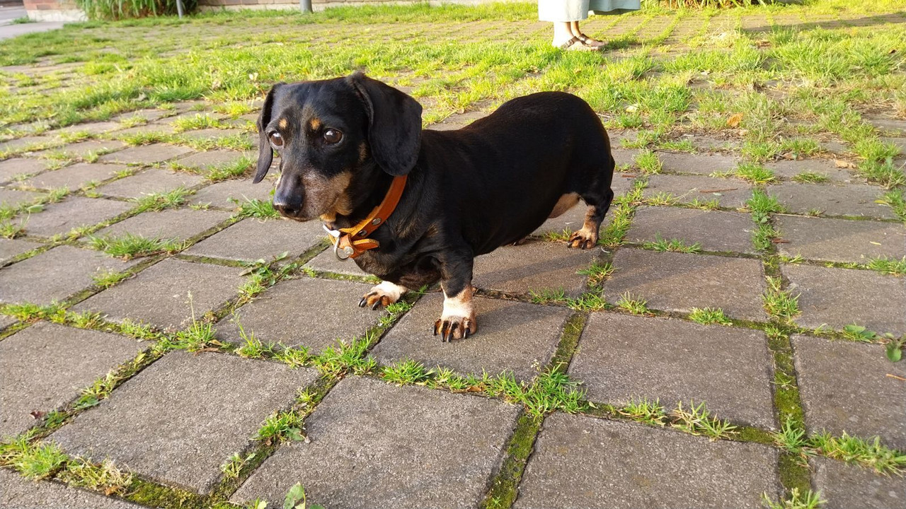 [Image: IMG-20240520-210616.jpg]