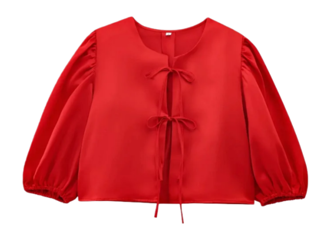 Zara Shirt