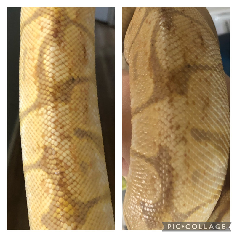 B1FDEE98-FBA8-4A9F-A27A-D4AD97B61EA0