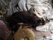 WhatsApp Image 2021-02-17 at 12.22.23