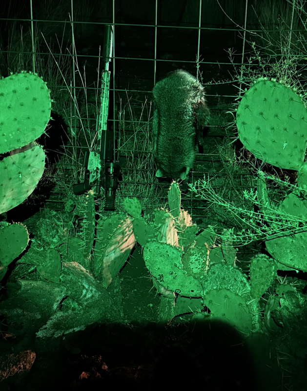 Screen Shot 2024-11-13 at 6.20.47 AM