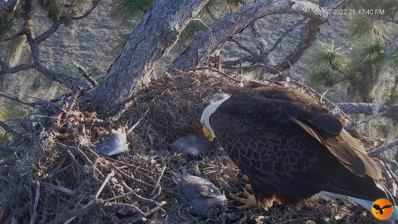 EC 4K Overhead Cam 2-10-38 screenshot