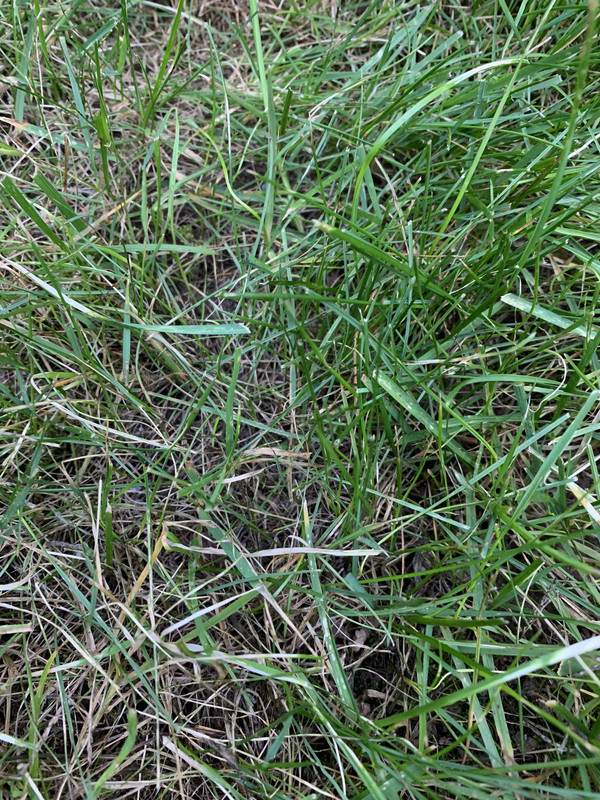 6D365553-AE69-460B-B1C4-1C4554CE42B1