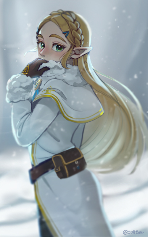 Zelda Long Winter 2