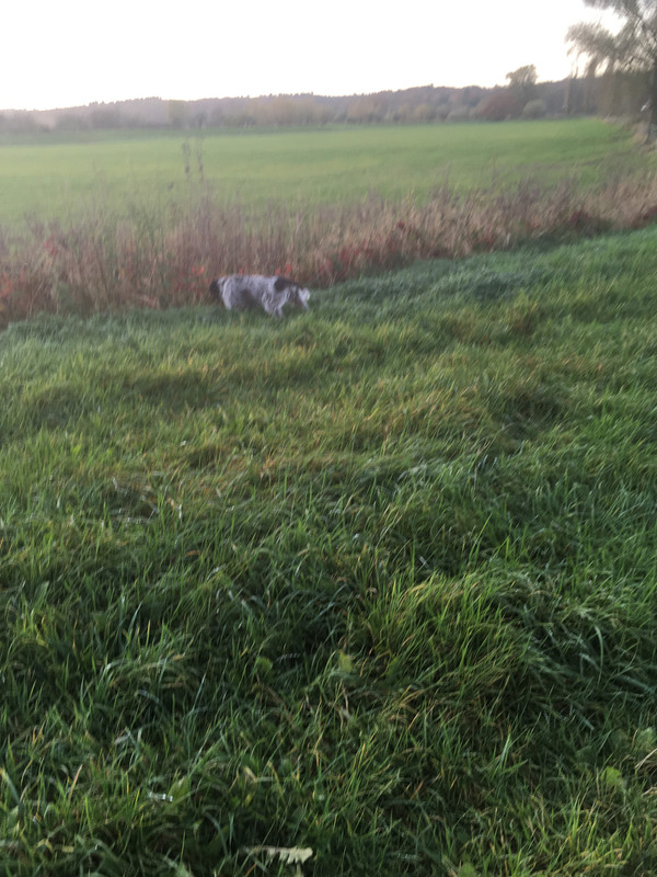 2021 17 november voorstaan IMG_0311 (002)