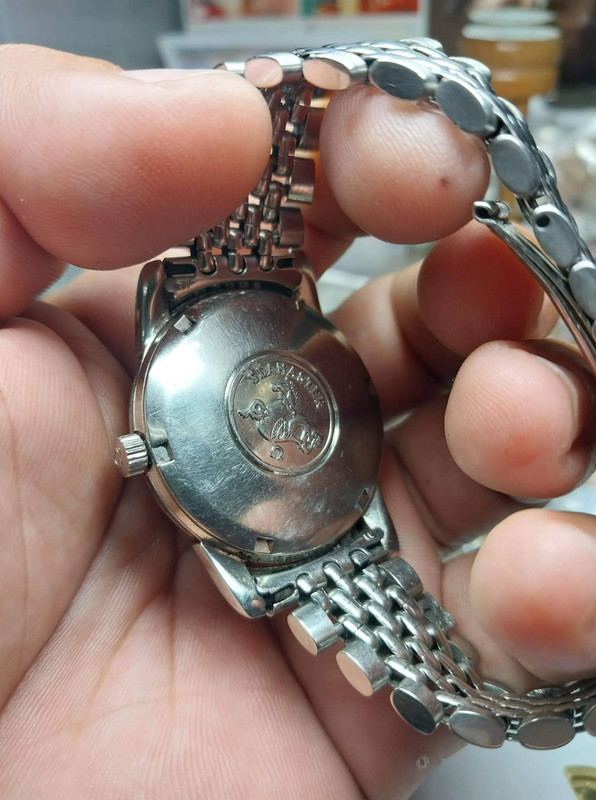 310939659_1219846508591647_679615456164147600_n