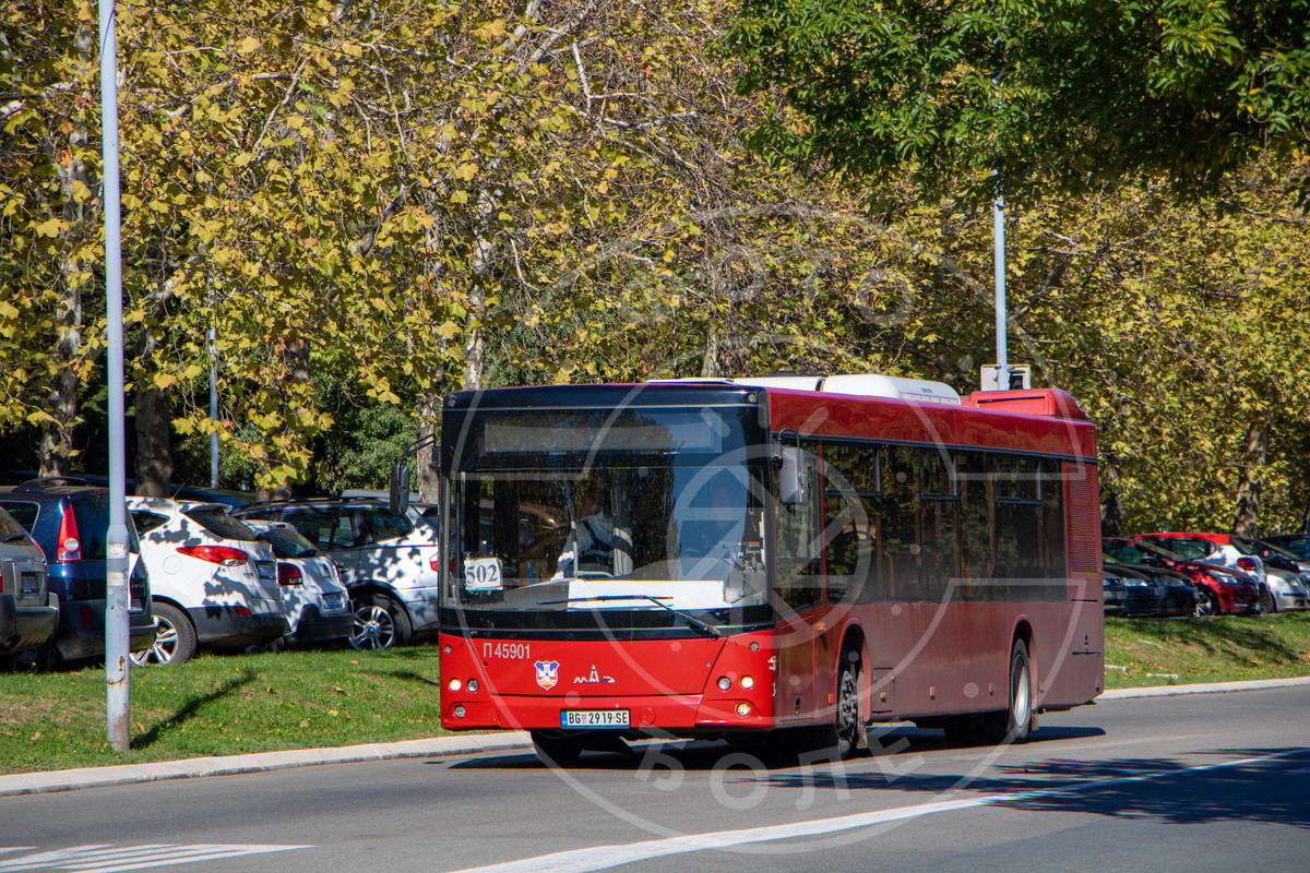 459011.jpg