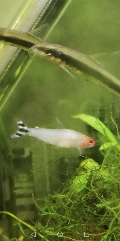 Screenshot_20191110-115332