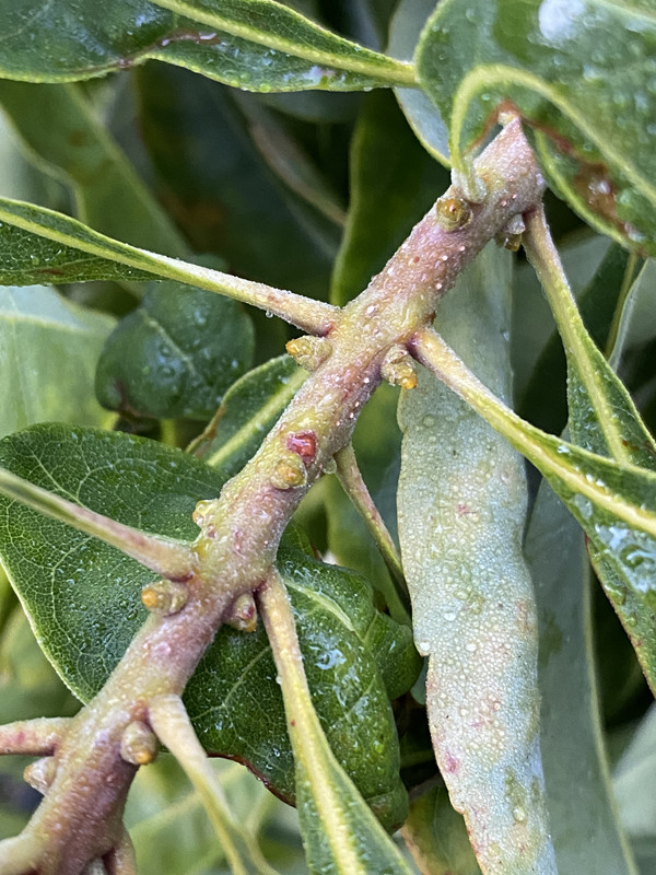 0DD860DE-6FA3-40EB-ABAD-2B210F79801F