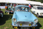 IMG-9228.jpg