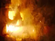 Pumpkins-0033