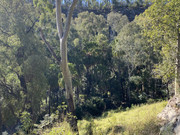 2022 (Jun) - Central (Nth) Qld Solo Trip(web) (105)