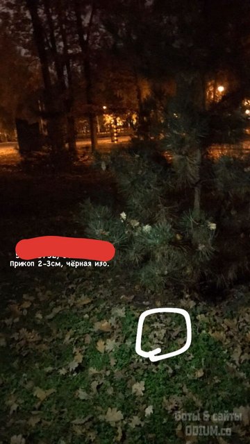 IMG_20201125_004852_804(1)