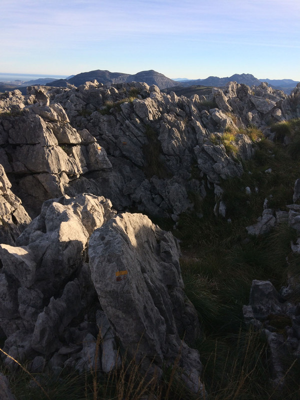 ASON alisas usaño ramales IMG_7361