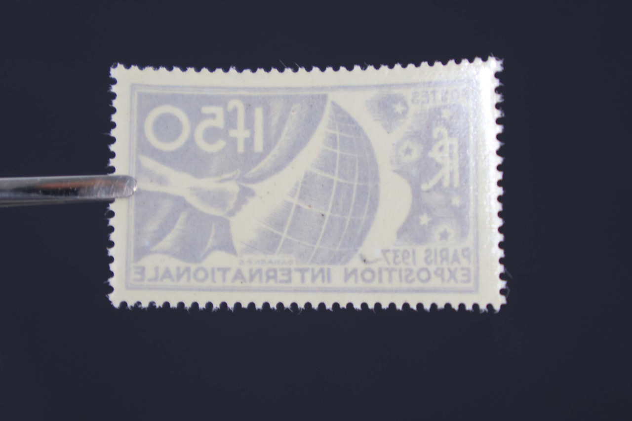 IMG 0508