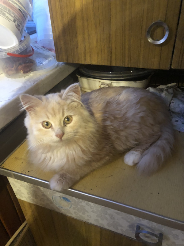 841879DF-4803-4BE7-8A65-343233F1D98A