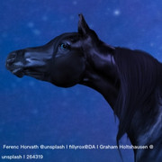 EB12D9A8-32B5-4C8D-8224-4C0983BC0B5F