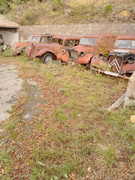 IMG-8533.jpg