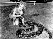 carole_landis_mb73