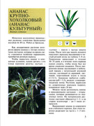 Plodovy-sad-v-komnate-2002-6