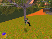 IMG-6766