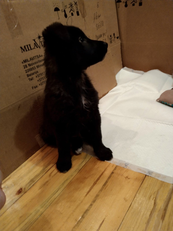 8D25AAE7-9104-4EE1-AA07-931C9238DB46