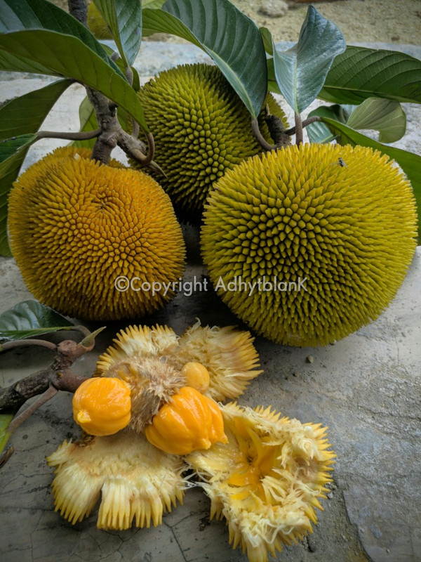 00000IMG_00000_BURST20220715133849311_COVER~2_wm