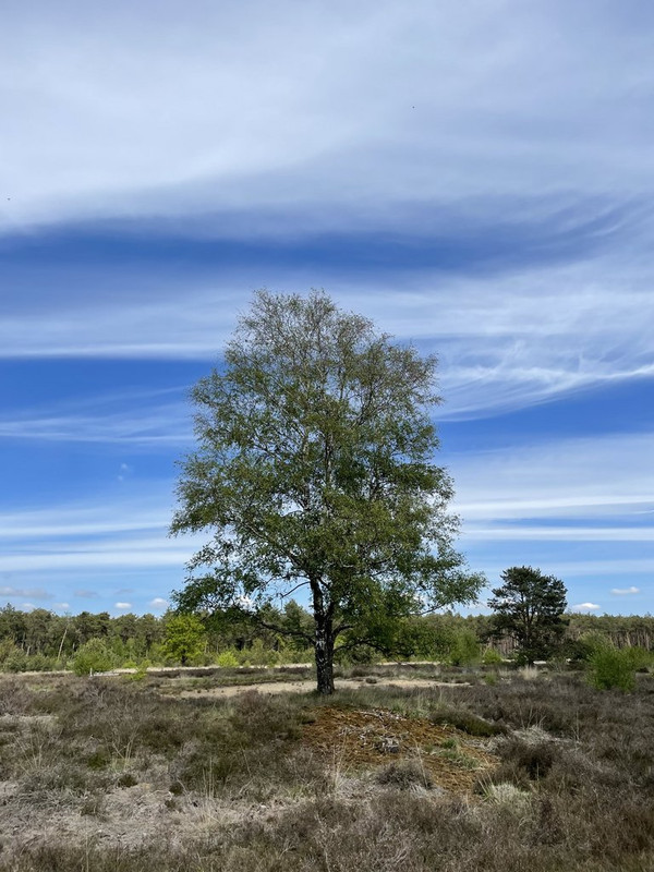 A7315562-8AC8-48B8-B2BE-49AF05E7CBA0