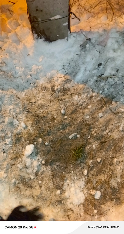 IMG 20260112 071156 776